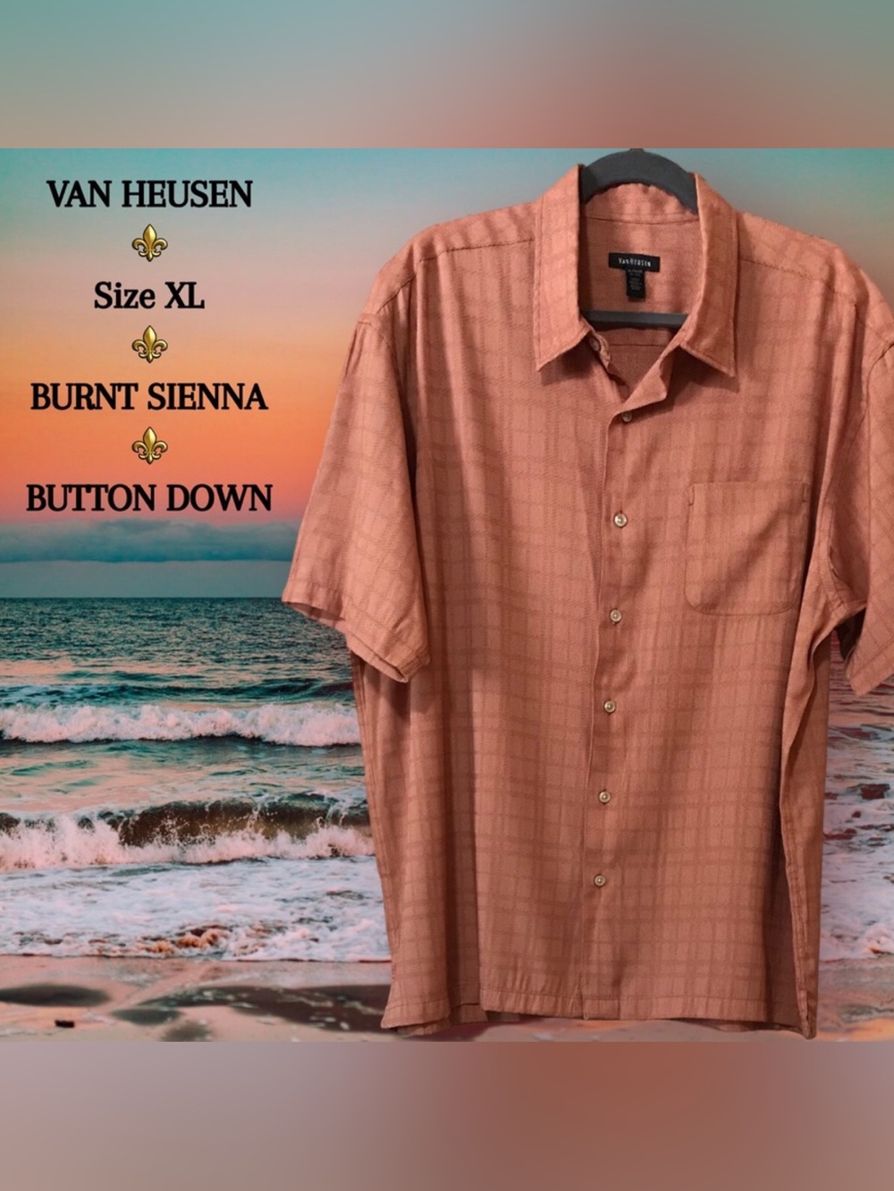VAN HEUSEN BARCELONA Rayon Blend Windowpane Button Down Collared Dress Shirt